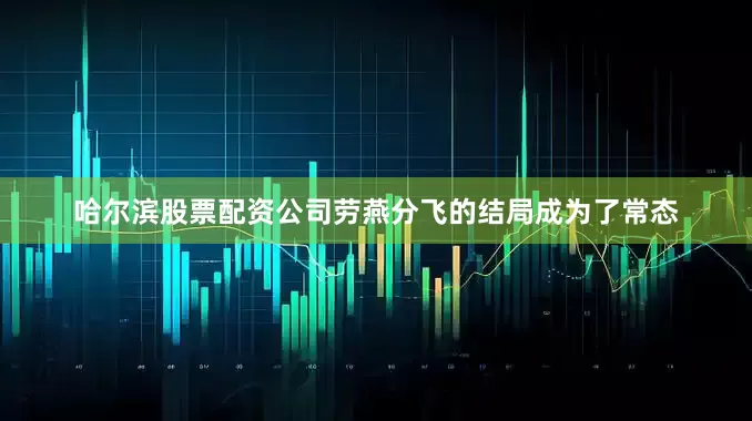 哈尔滨股票配资公司劳燕分飞的结局成为了常态
