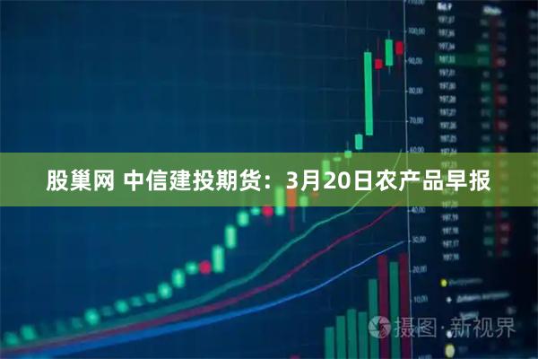 股巢网 中信建投期货：3月20日农产品早报